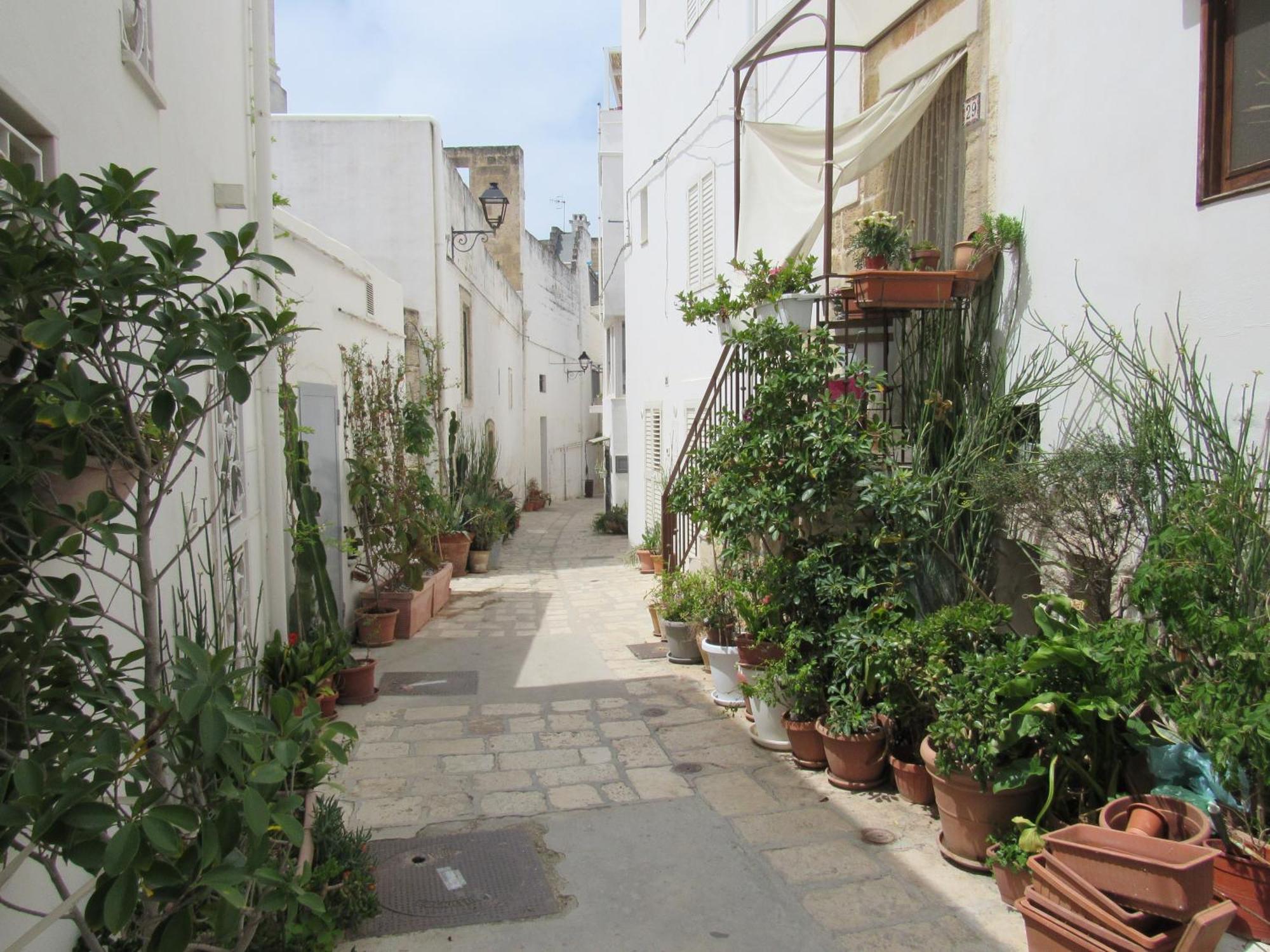 Vicolo Fiorito B&B Polignano a Mare Buitenkant foto